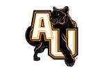 Adelphi Panthers