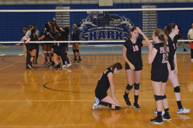 Volleyball 2016 Pierson