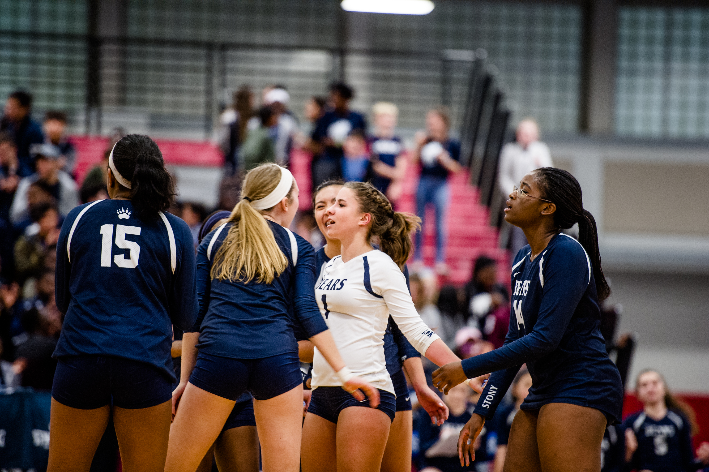 Volleyball 2016 Pierson